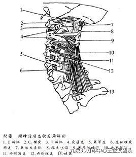 圖文圖片