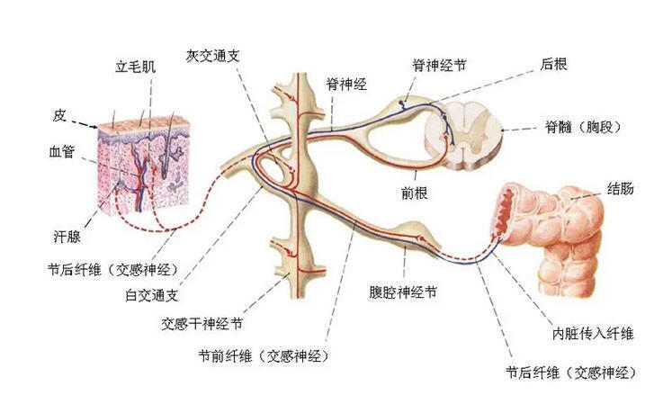 图文图片