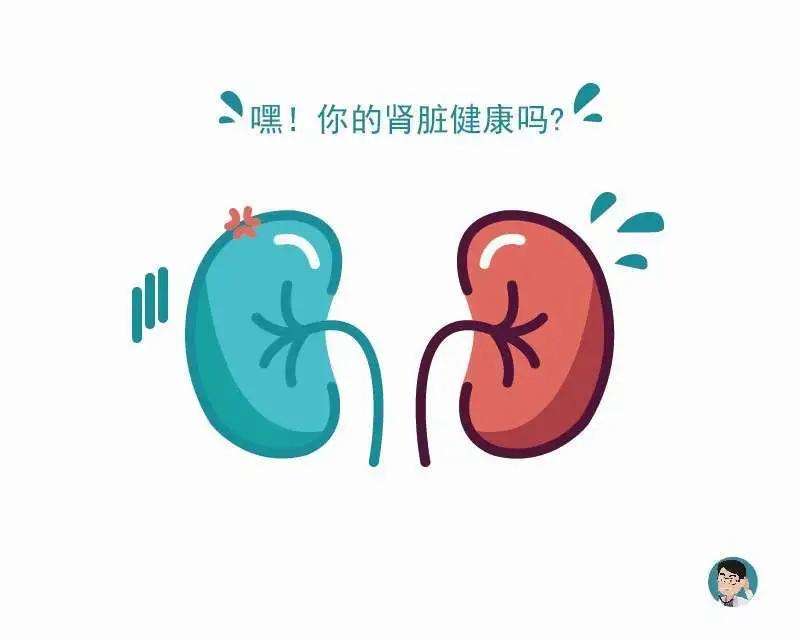 2022年3月10日第17个世界肾脏日系列科普-"人人关注肾脏健康——吾爱