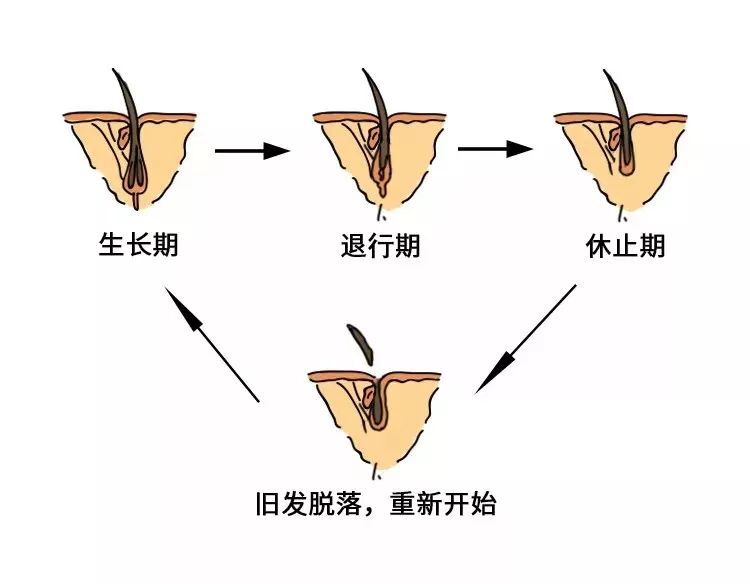 微信图片_20220611172609.jpg