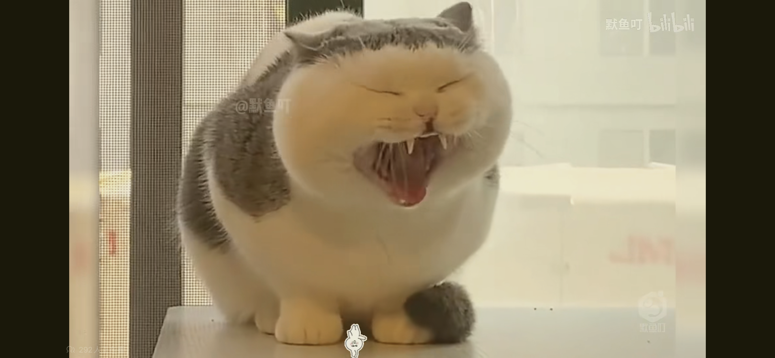 圖文圖片