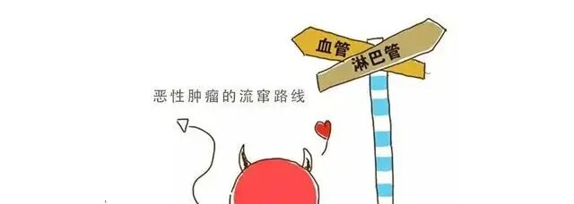 src=http___pic.wenwo.com_fimg_6769888619.jpg&refer=http___pic.wenwo.webp.jpg