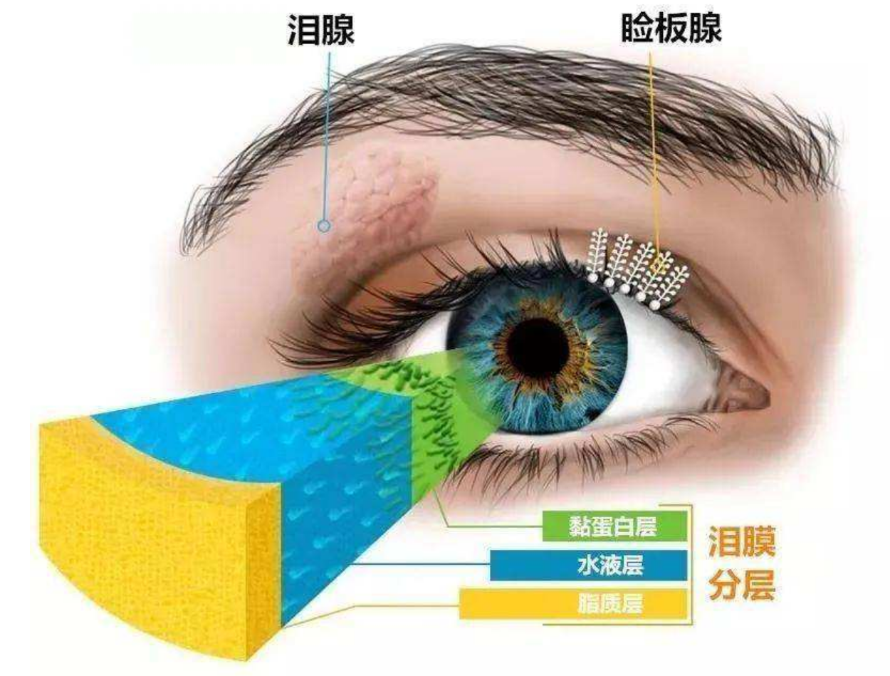 微信图片_20220204220324.png