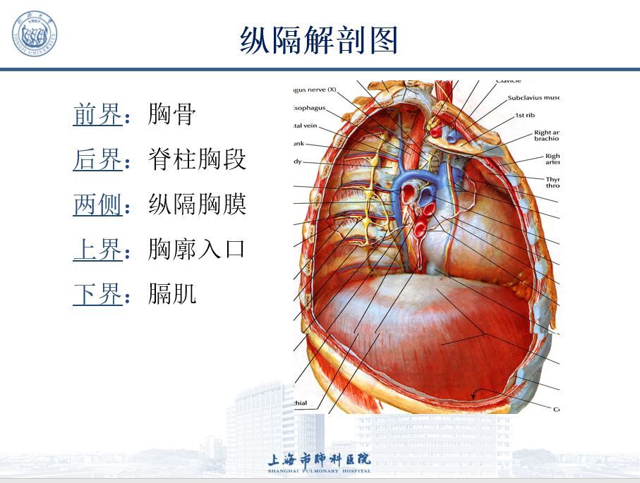 纵隔肿瘤症状,纵隔肿瘤治疗方法, 纵隔肿瘤多大需要手术,能活多久?