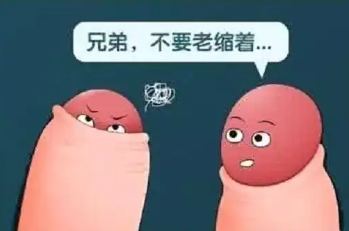 男孩子的下面叫什么?图片