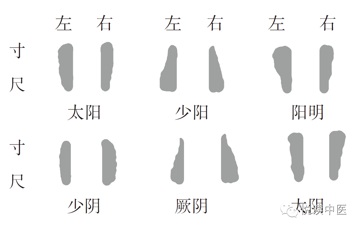 人迎气口脉法详细介绍