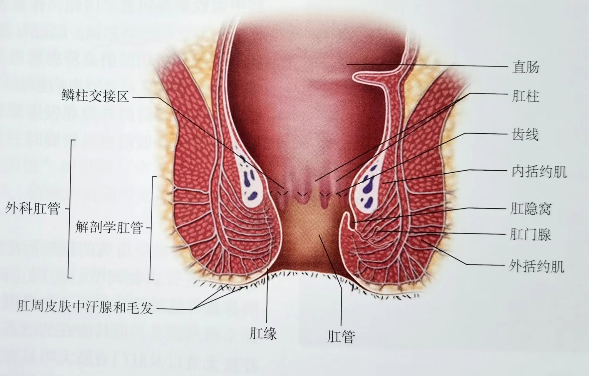 微信图片_20220415145044.jpg