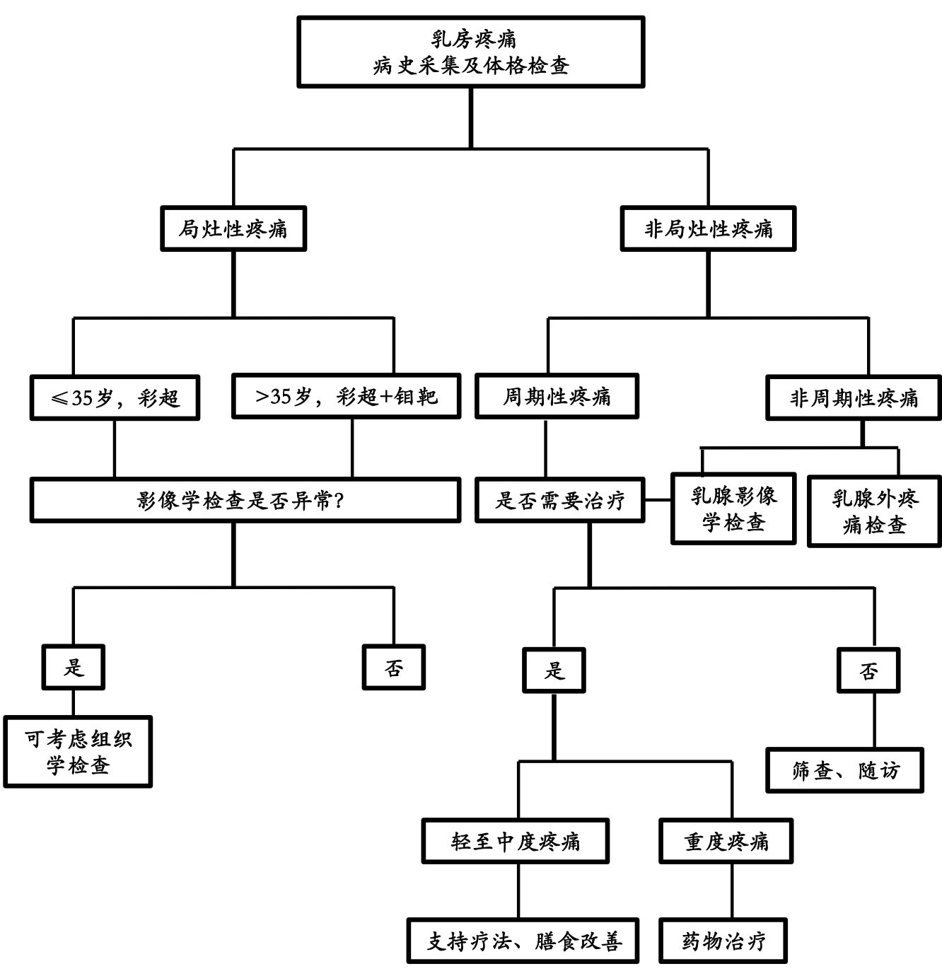 乳房检查思维导图图片