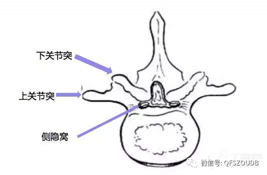 圖文圖片