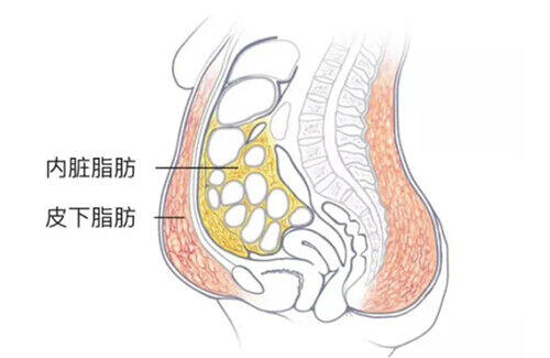 圖文圖片
