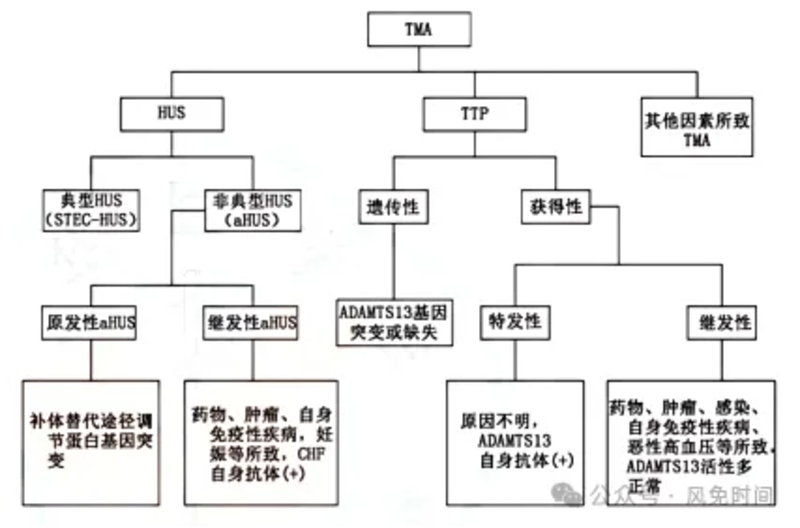 图文图片