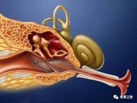 咽鼓管异常开放症图片