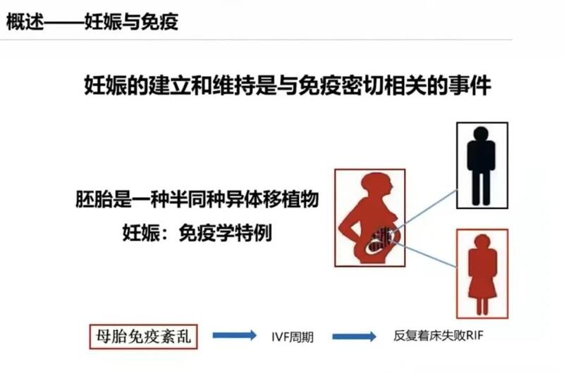 圖文圖片