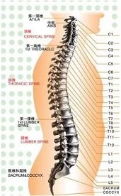 怎样才能不得腰椎间盘突出 2IYBAGICfu-AR5fSAABChulIQmA711.jpg?_ms_=d4d5