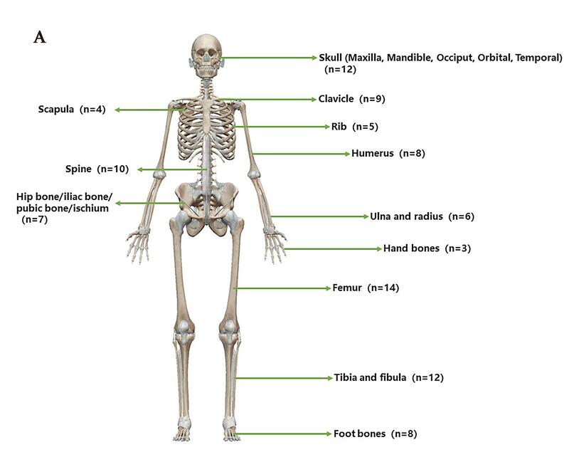 Figure 1.jpg