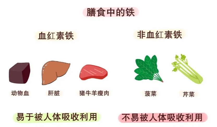 贫血是什么东西啊 14YBAGKUXGuABh9ZAAWe4-c2CxU136.png?_ms_=9d7d