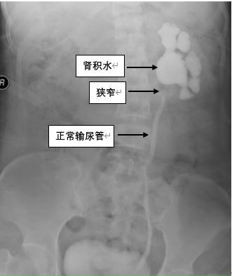 圖文圖片