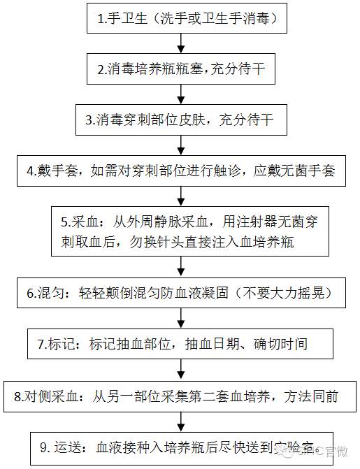 12血培養採集的流程是怎樣的?