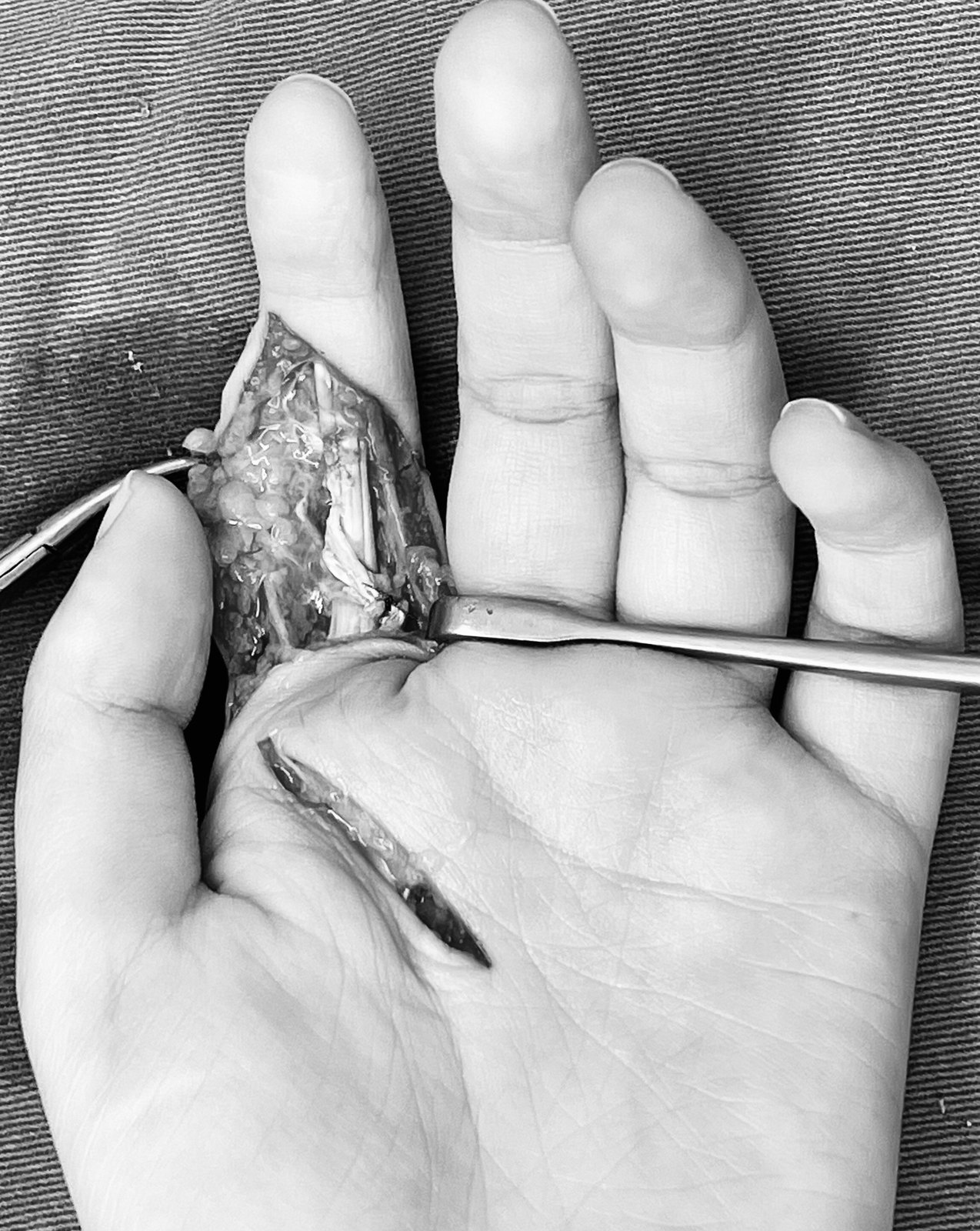 屈指一算什么意思(屈指一算的屈什么意思)