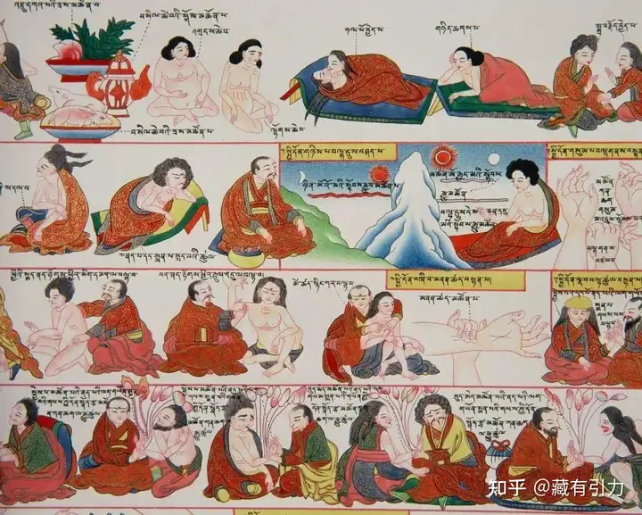 藏医起源 | 了解藏医药的前世今生_中毒_中毒相关疾病 - 好大夫在线