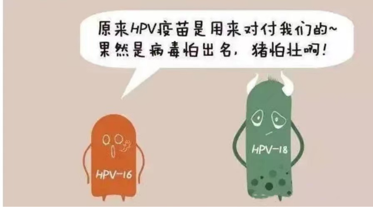 關於hpv男性女性都要知道的十件事