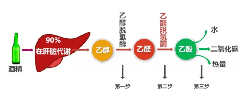 一小时代谢酒精多少克 14YBAGKcjC6AYrXGAAI3HvnwiQU535.png?_ms_=6471