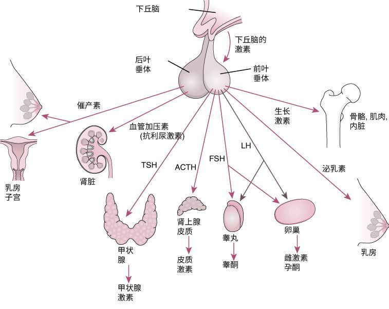 微信图片_20220502204847.jpg