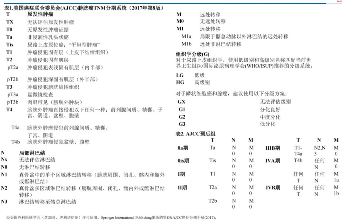 截屏2022-06-21 11.50.07.jpg