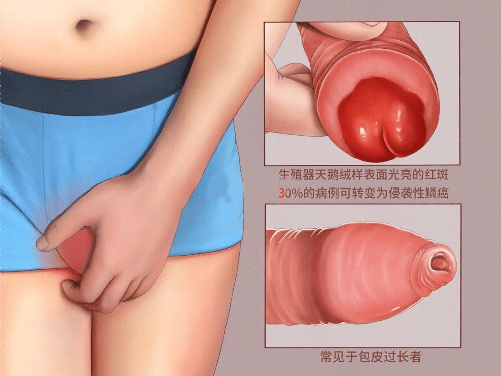图片19.png