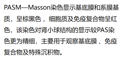 什么情况需要做肾穿刺活检 14YBAGLKpAaASt_BAAAvdaypWlU034.png?_ms_=f3d0