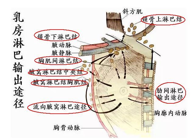 微信图片_20220717181151.jpg