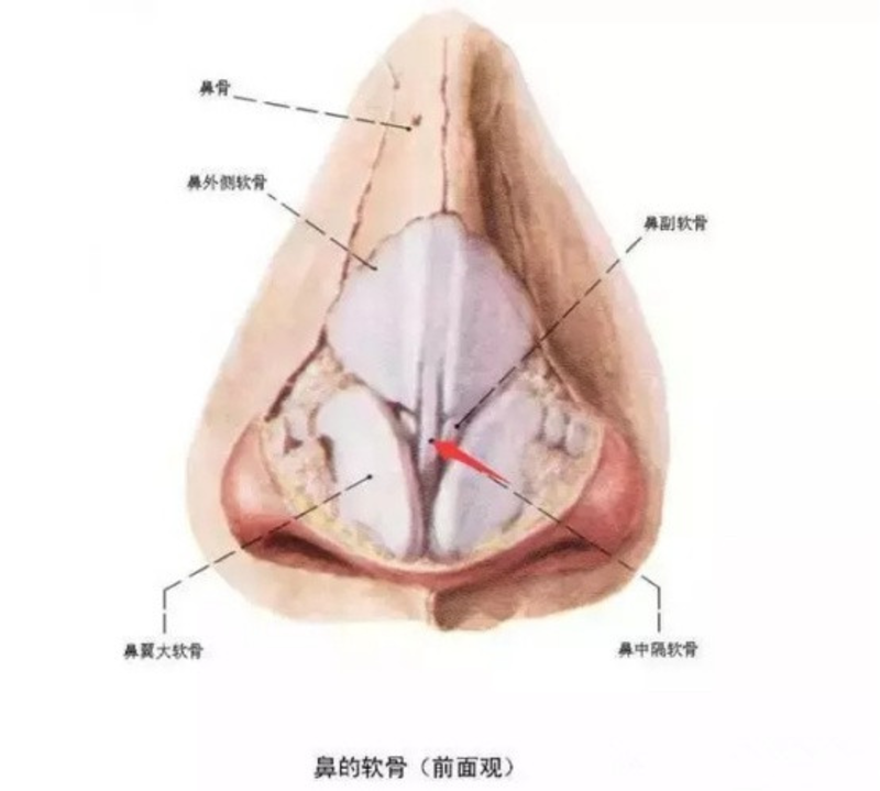 圖文圖片
