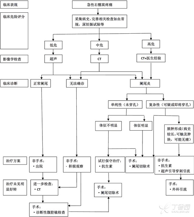 阑尾炎病理生理图图片