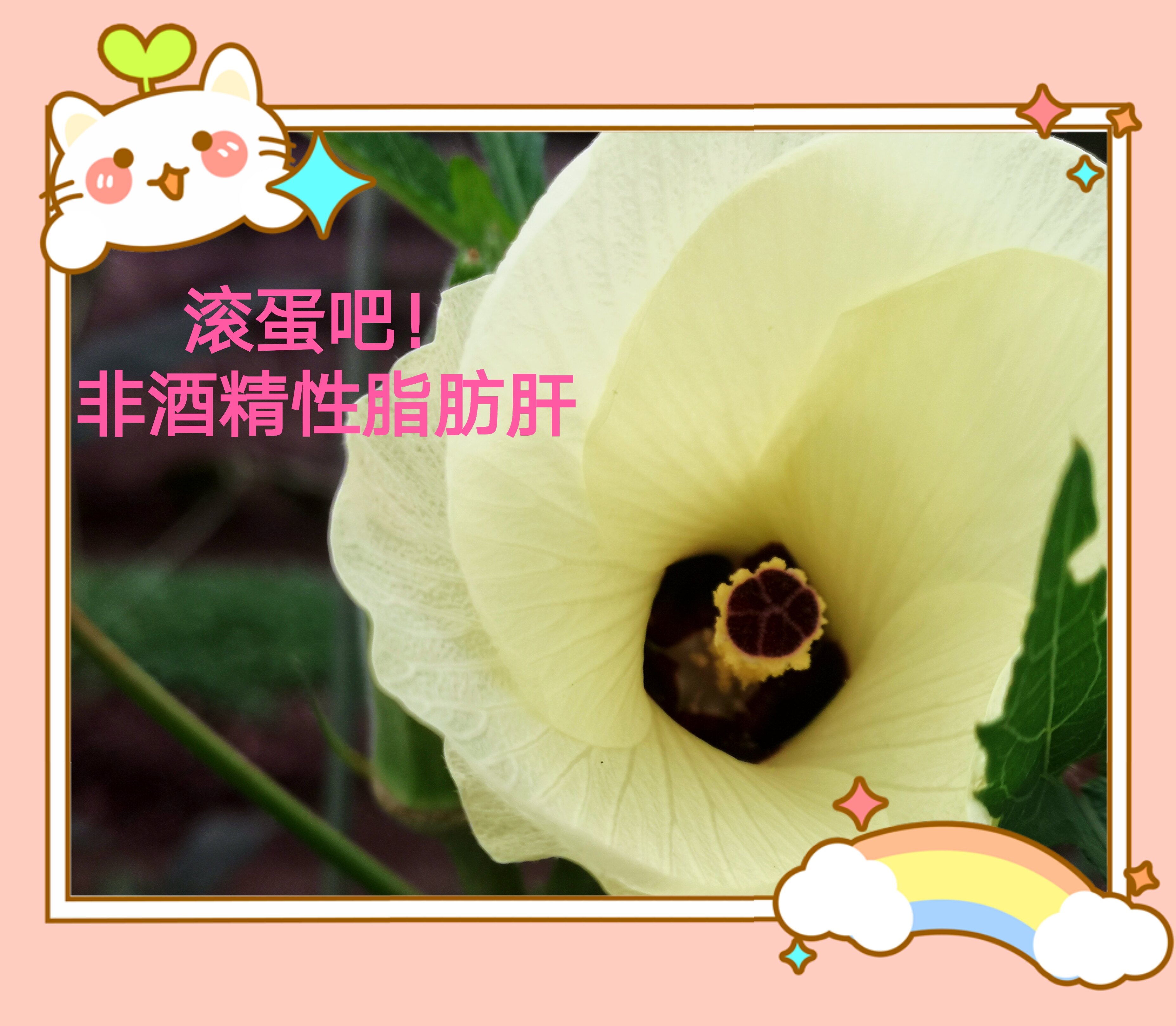 滚蛋吧!非酒精性脂肪肝君!