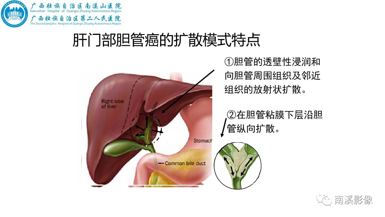 圖文圖片