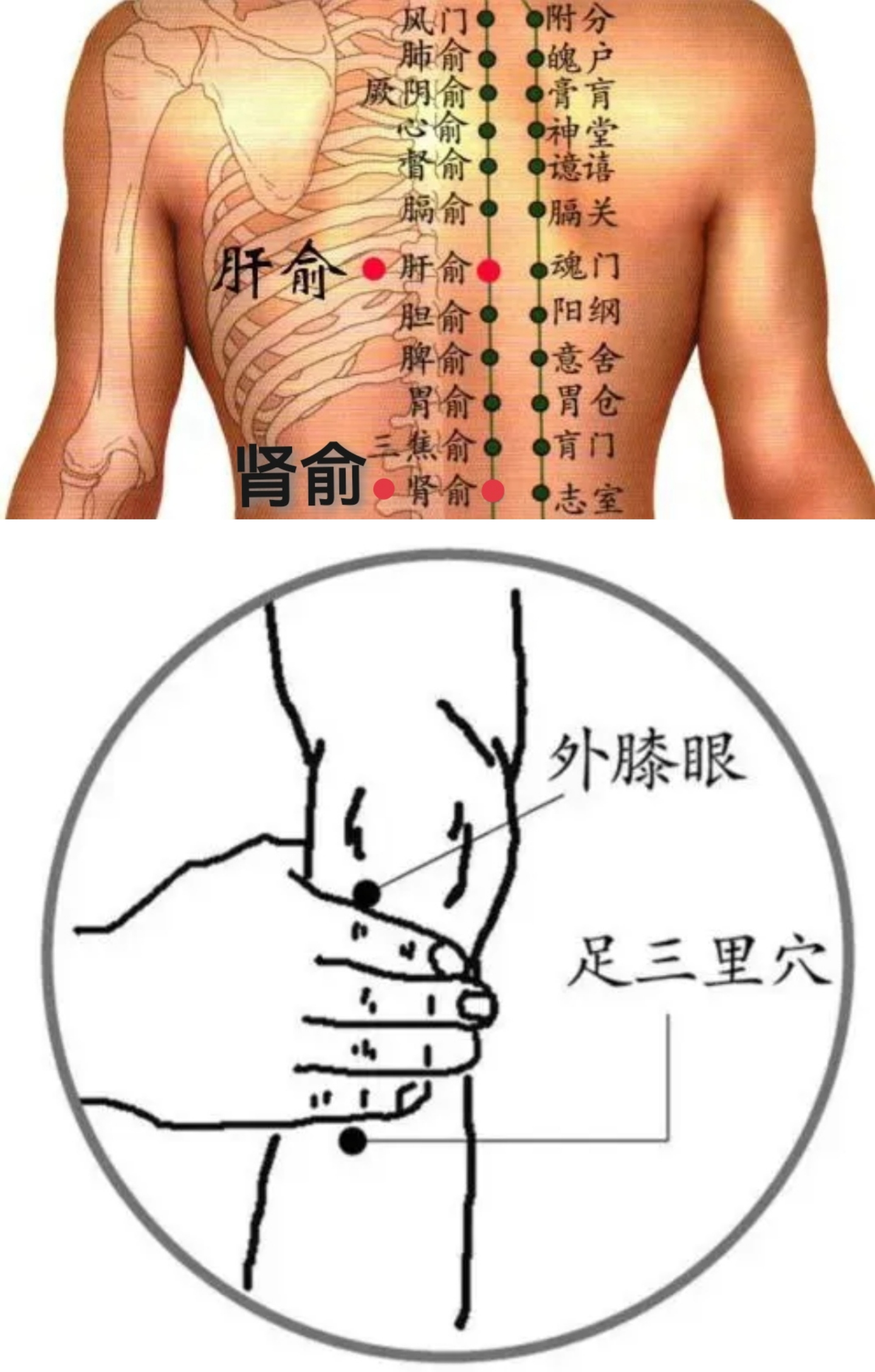 如伴呕吐者,应防止呕吐物误入气管引起呼吸不畅或者窒息的情况发生