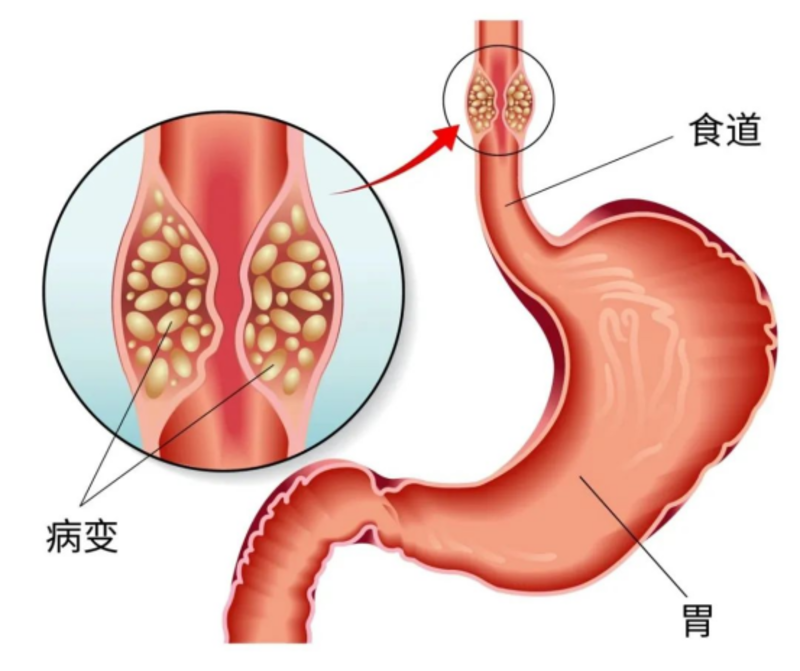 图文图片