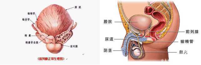 4ca8b120-ae07-11eb-ad77-4df0e0a12332.jpg