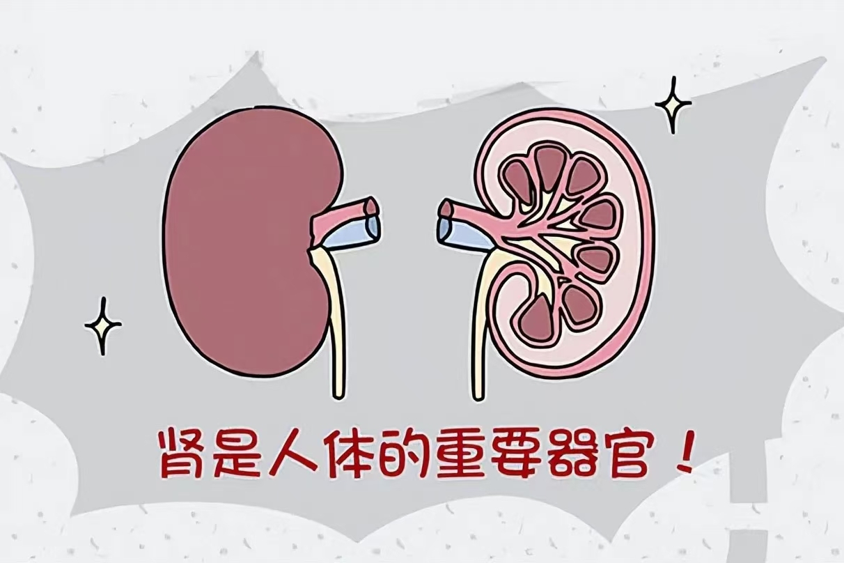圖文圖片