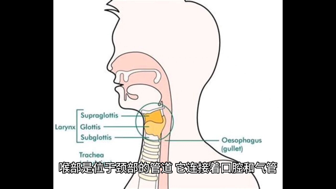 默认图片