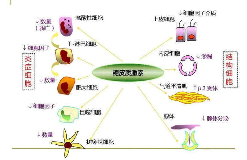 微信图片_20230919144039.jpg