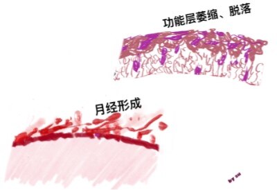 圖文圖片