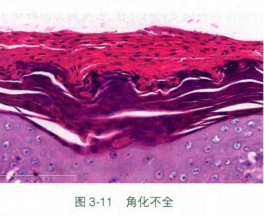 Alipay alipay