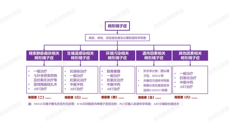 男性不育：畸形精子症（总）.jpg