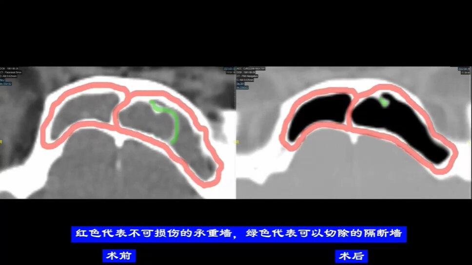 默认图片