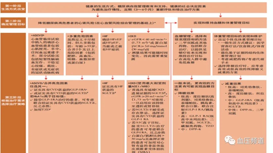 三高”共管规范化诊疗中国专家共识(2023版)_三高症_三高症介绍 - 好大夫在线