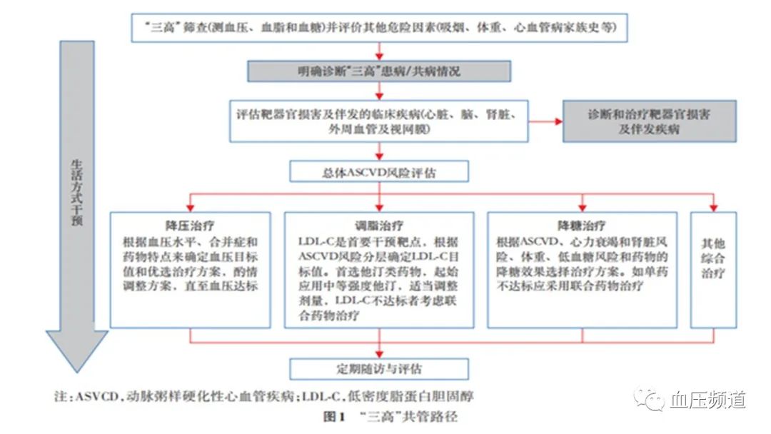 三高”共管规范化诊疗中国专家共识(2023版)_三高症_三高症介绍 - 好大夫在线