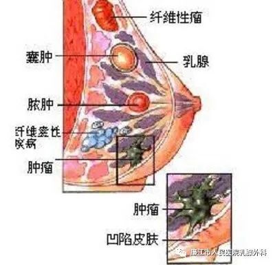 微信图片_20231009094057.jpg