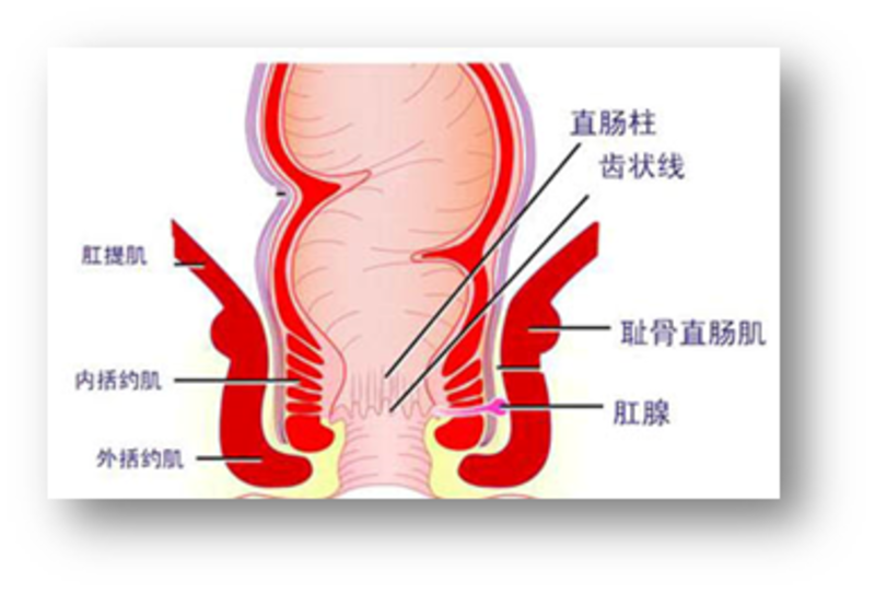 圖文圖片