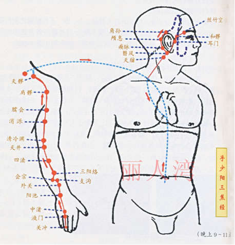 手少阳三焦经走向图片